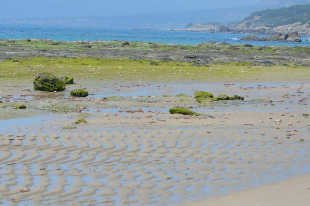 Casita Del Mar A Pie De Playa Leilighet Tarifa Eksteriør bilde